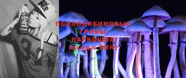 стаф Беломорск