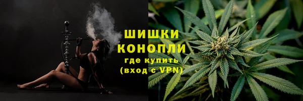 стаф Беломорск