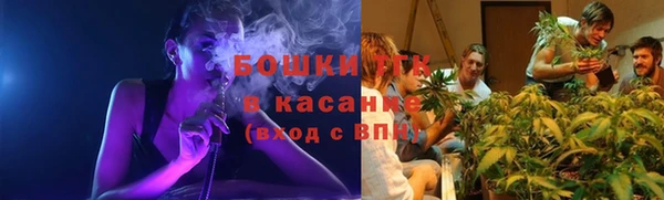 мдпв Богородицк