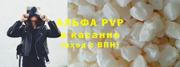 стаф Беломорск