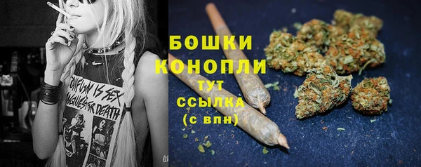 стаф Беломорск