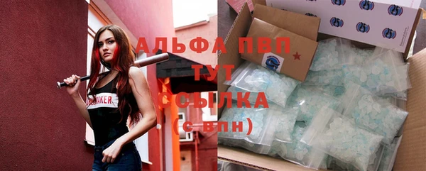 стаф Беломорск