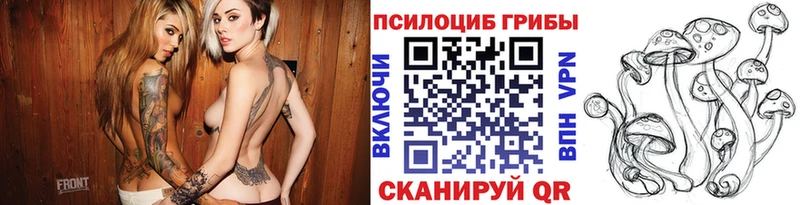 Псилоцибиновые грибы прущие грибы наркошоп Болотное